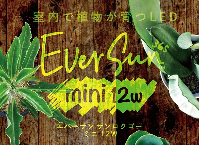 EverSunʥС365mini 12W