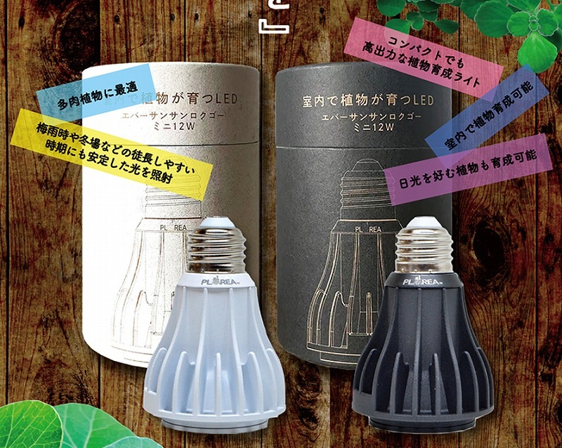 EverSunʥС365mini 12W