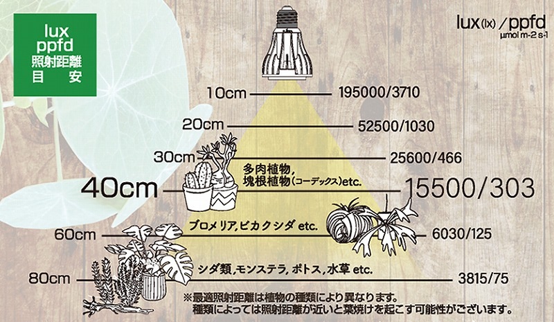 EverSunʥС365mini 12W