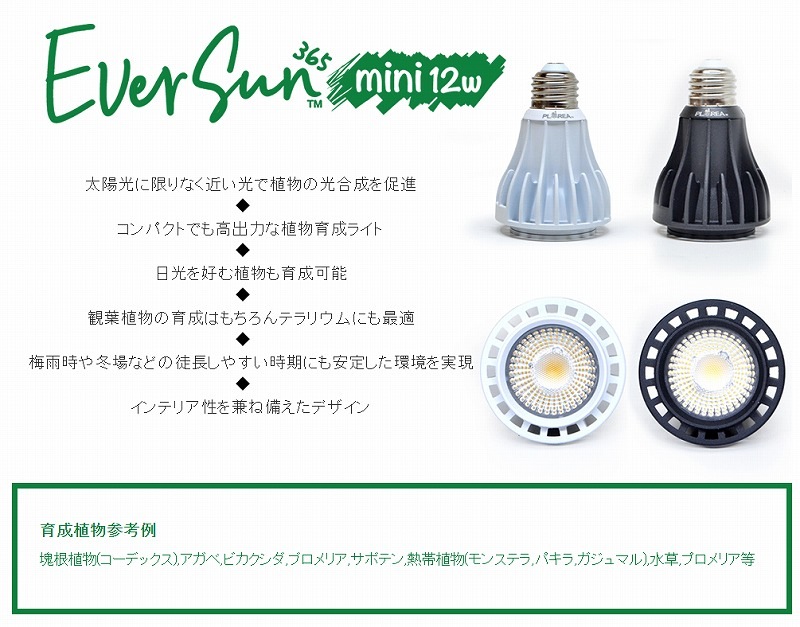 EverSunʥС365mini 12W