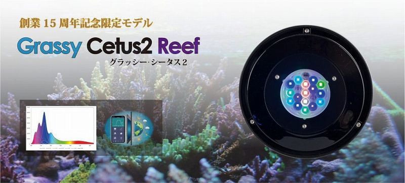Grassy Cetus2 Reef�ʥ���å��� ������������60W ������