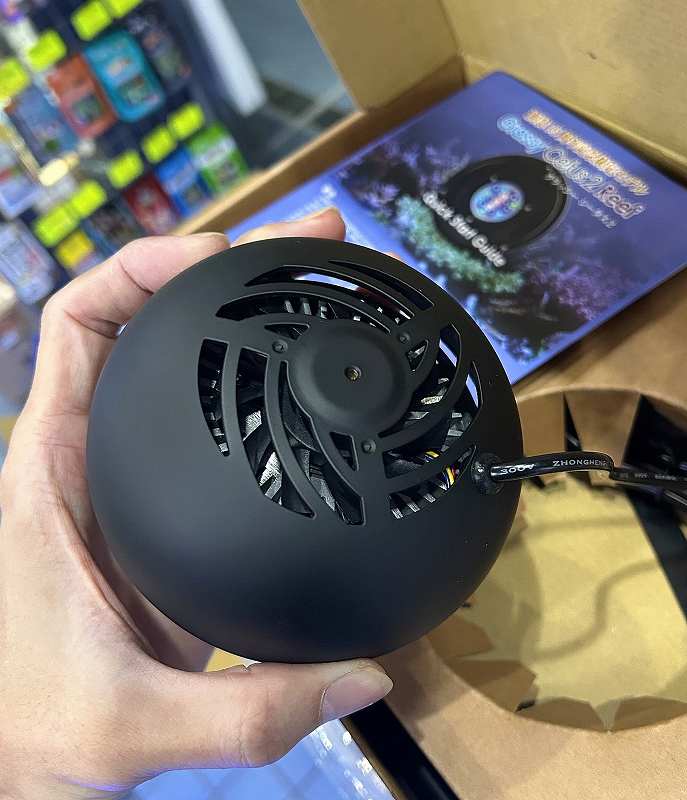 Grassy Cetus2 Reef�ʥ���å��� ������������60W ������