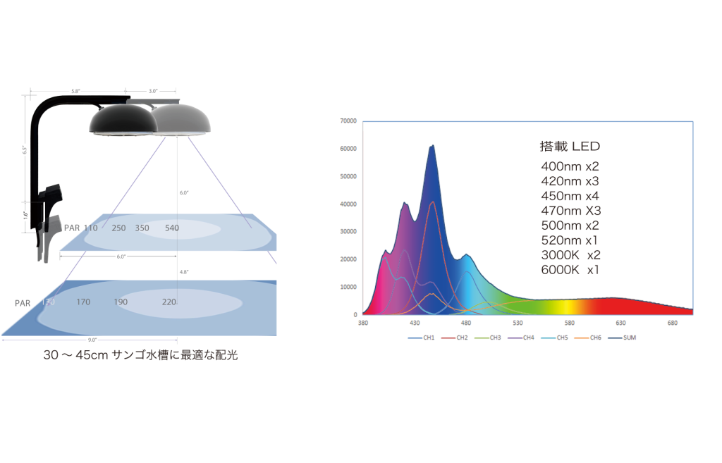 Grassy Cetus2 Reef�ʥ���å��� ������������60W ������