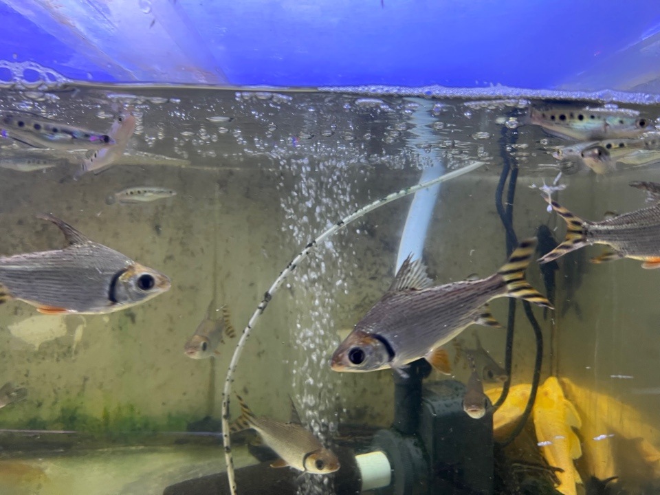 ���顼�ץ������������������������