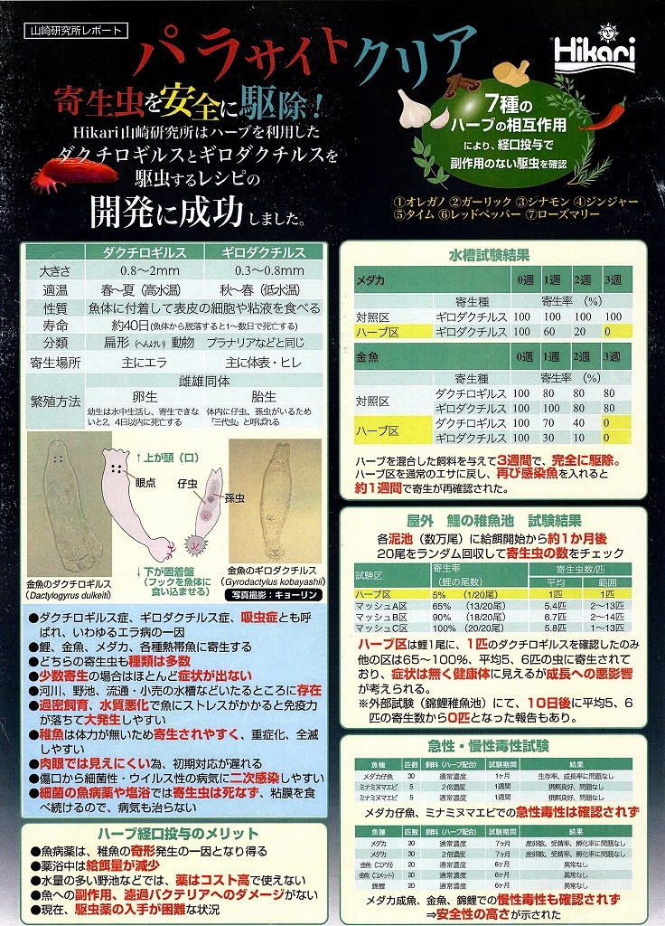 ѥ饯ꥢ ޥå кѥա