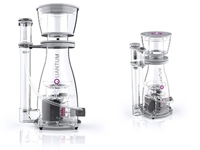 NYOS��QUAMTUM ���꡼�����������