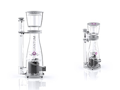 NYOS��QUAMTUM ���꡼�����������