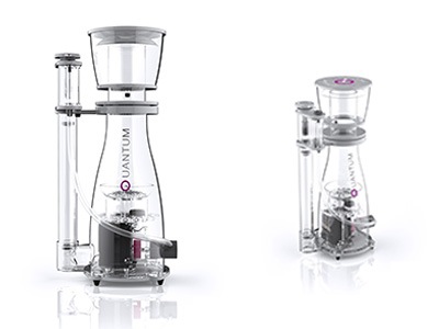 NYOS��QUAMTUM ���꡼�����������