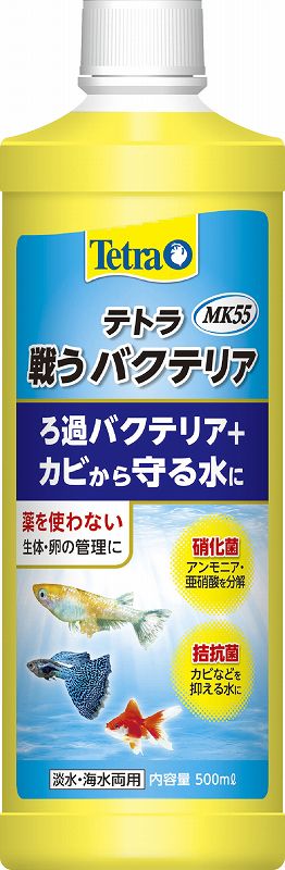 �ƥȥ� �臘�Х��ƥꥢ MK55�ʥ��Ӥ����롪��