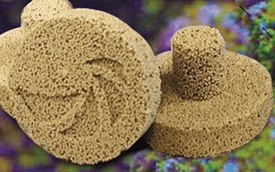 Nano-Tech Bio-Plug��25�ġ�