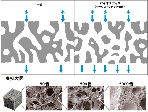 BioMedia Lite�ʥХ�����ǥ��� �饤�ȡ�