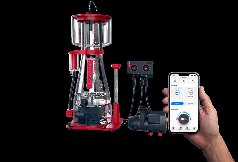 ReefRun G2 DC�ݥ�� ��RedSea���ꥸ�ʥ륰�å��ץ쥼��ȡ�