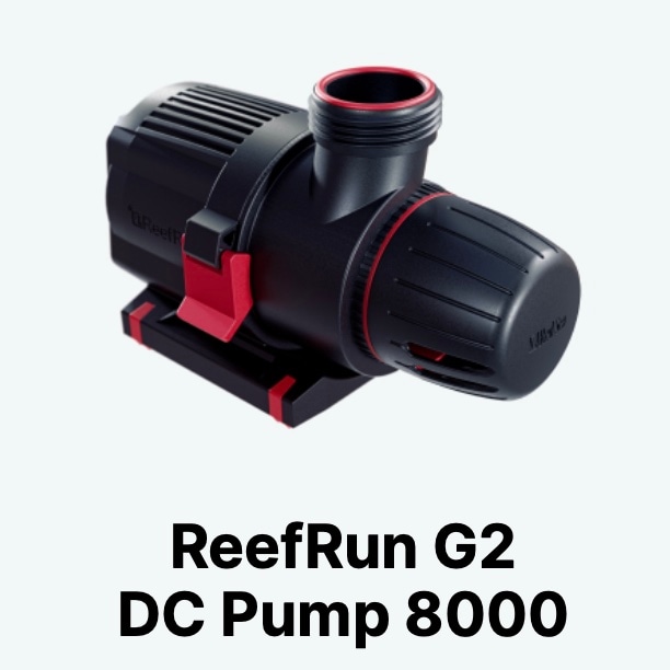 ReefRun G2 DC�ݥ�� ��RedSea���ꥸ�ʥ륰�å��ץ쥼��ȡ�