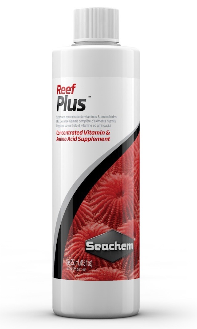 Reef Plus�����̸��� + ���ߥλ�+���û��ܥӥ��ߥ��