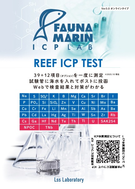 ICP����ƥ��ȡʿ���ο��μ褷�ƥݥ��Ȥ���ȡ��