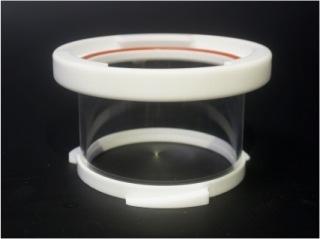 �����她���ޡ�����������������