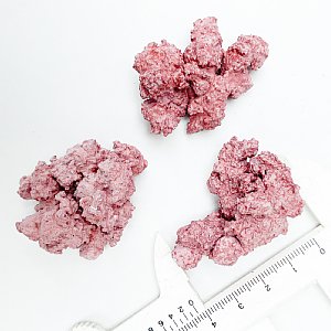 �ޥ�ץ饰 �ߥˡ�10������