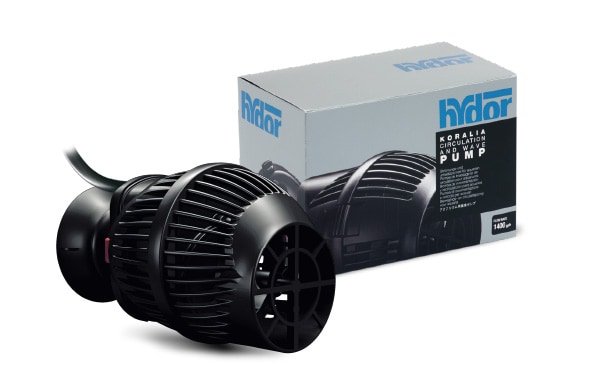 ����ꥢ �ʥ� 900/1600 �������