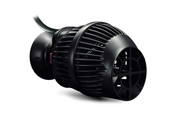 ����ꥢ �ʥ� 900/1600 �������