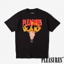 【PLEASURES/プレジャーズ】RANGER T-SHIRT Tシャツ / BLACK ブラック 黒|Tシャツ|PLEASURES