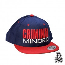 DISSIZIT/ǥåȡCriminal Minded Yupoong Snapback Cap å / NAVY ͥӡ/Red