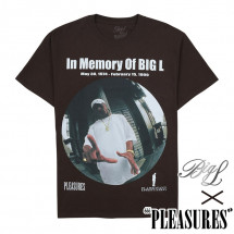 PLEASURES/ץ쥸㡼BIG L/ӥåLIN MEMORY T-SHIRT T / BROWN ֥饦