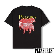 PLEASURES/ץ쥸㡼WET DOGS T-SHIRT T / BLACK