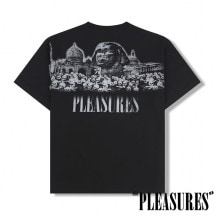 PLEASURES/ץ쥸㡼MONUMENTS