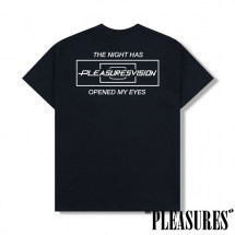 PLEASURES/ץ쥸㡼VISION
