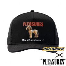 PLEASURES/ץ쥸㡼HALF
