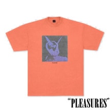 ��PLEASURES/�ץ쥸�㡼����ANGEL