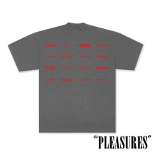 ��PLEASURES/�ץ쥸�㡼����WORDMARK