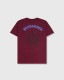 PLEASURES/ץ쥸㡼SLIPKNOT/åץΥåȡCOMPASS T-SHIRT T / BURGUNDY