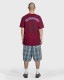 PLEASURES/ץ쥸㡼SLIPKNOT/åץΥåȡCOMPASS T-SHIRT T / BURGUNDY