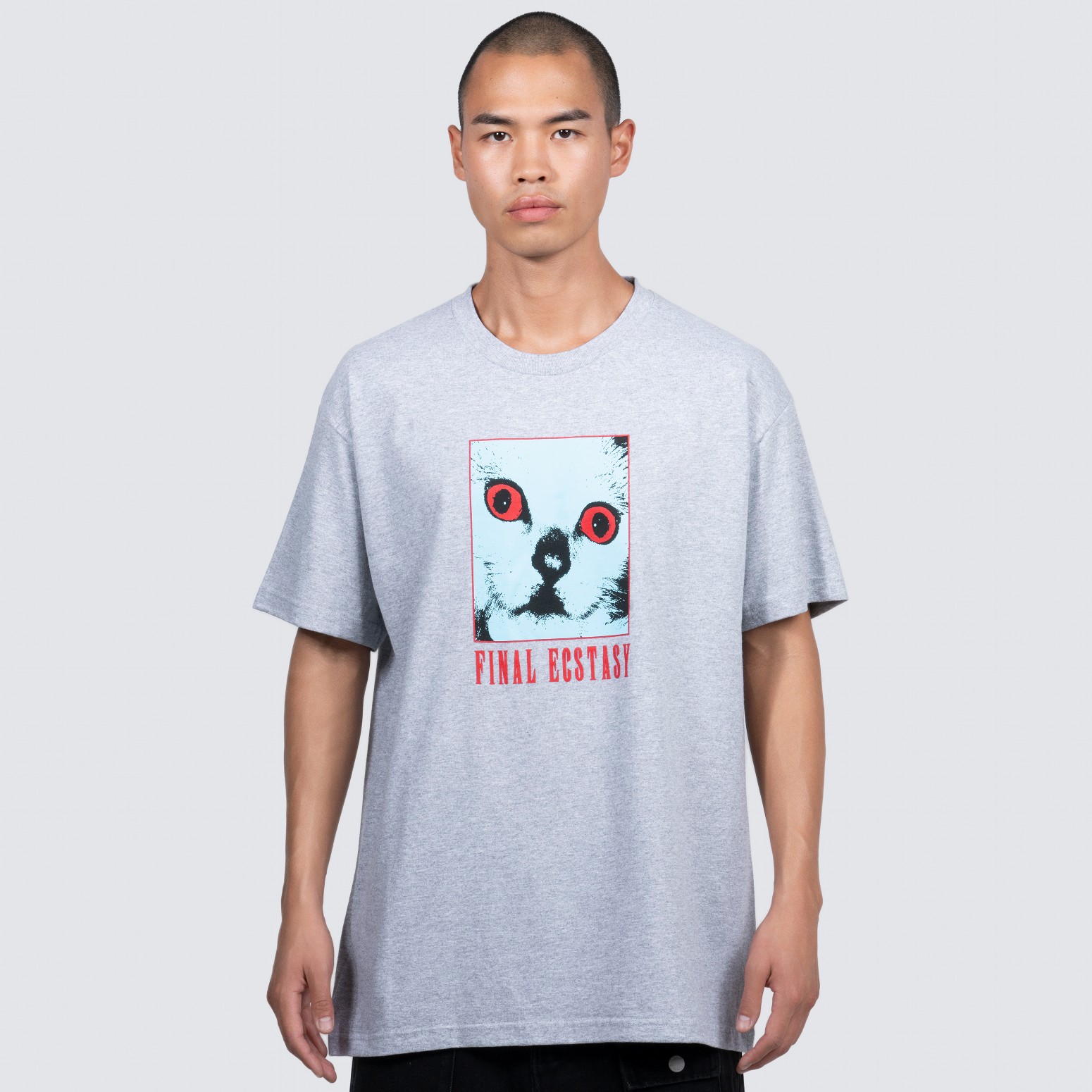 ��PLEASURES/�ץ쥸�㡼����FINAL T-SHIRT T����� / ASH GREY