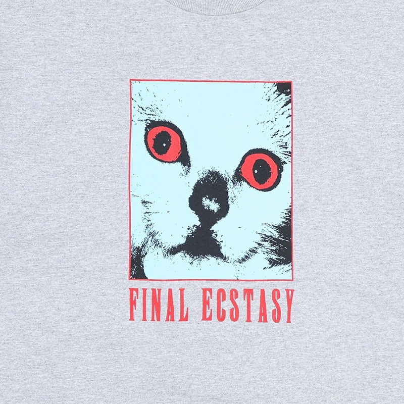 ��PLEASURES/�ץ쥸�㡼����FINAL T-SHIRT T����� / ASH GREY