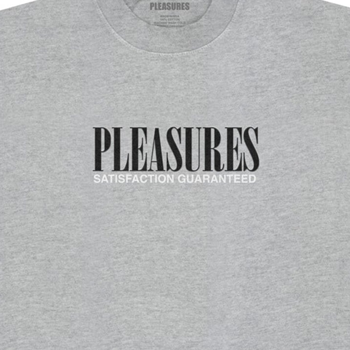 PLEASURES/ץ쥸㡼SATISFACTION T-SHIRT T / BROWN