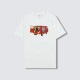 ��PLEASURES/�ץ쥸�㡼����PABST BLUE RIBBON/�ѥ֥��ȥ֥롼��ܥ��BEER VAN T-SHIRT T����� / WHITE