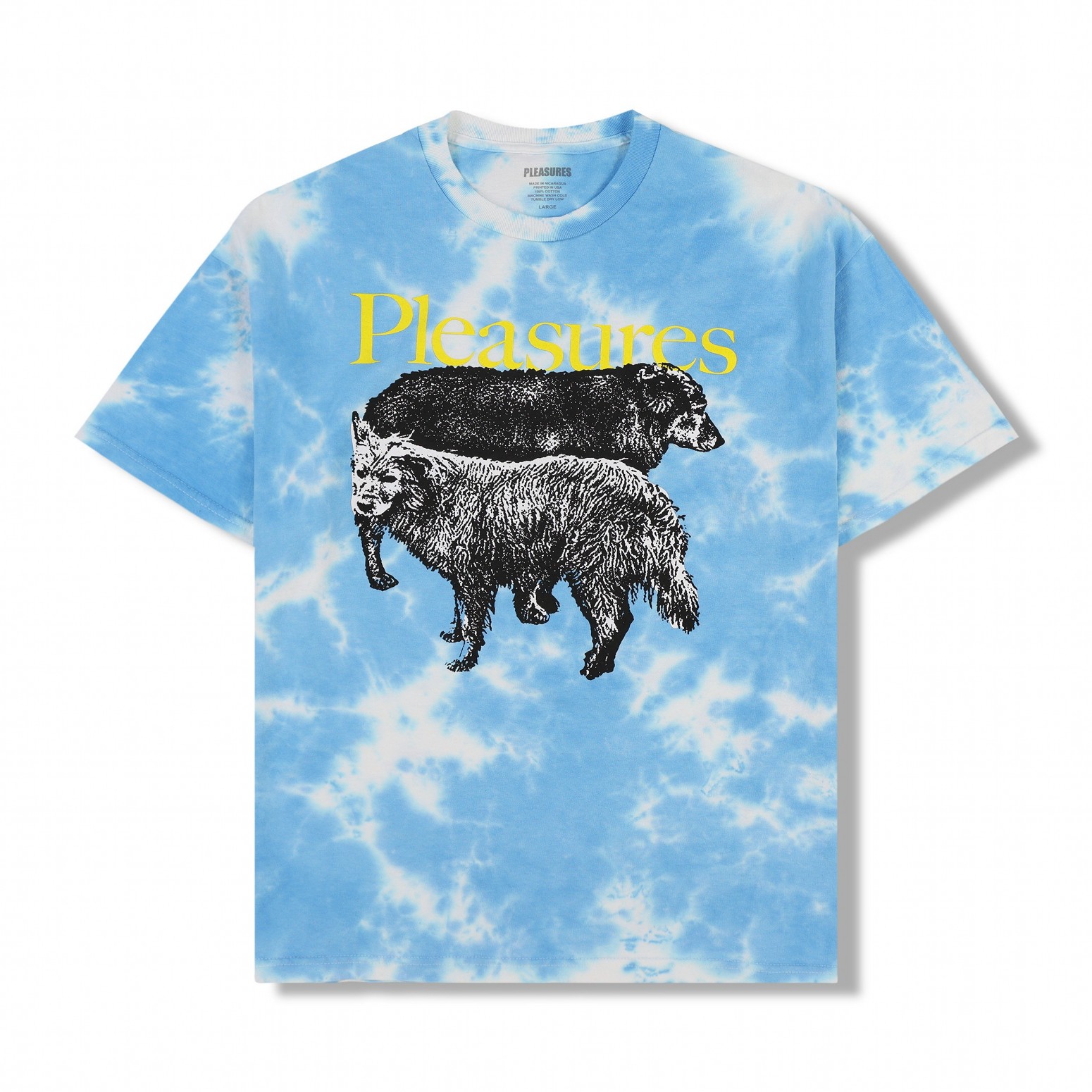 PLEASURES/ץ쥸㡼WET DOGS T-SHIRT T / BLUE DYE