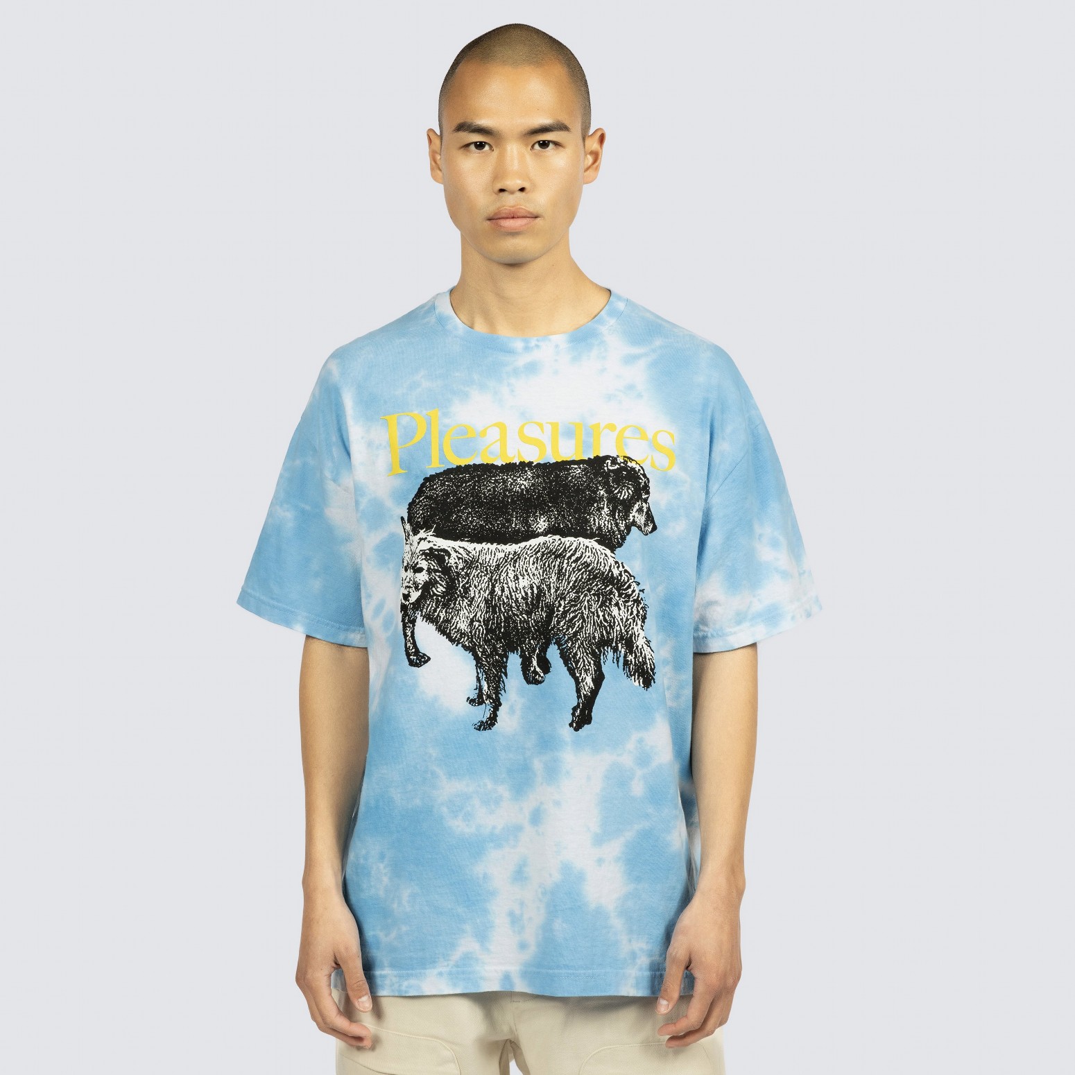 PLEASURES/ץ쥸㡼WET DOGS T-SHIRT T / BLUE DYE