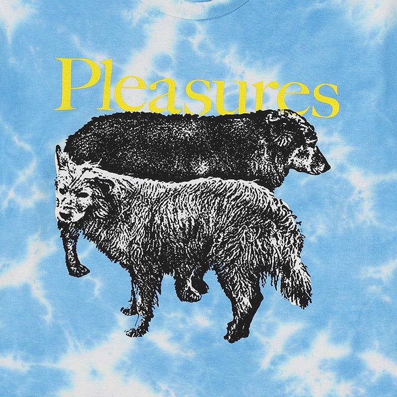 PLEASURES/ץ쥸㡼WET DOGS T-SHIRT T / BLUE DYE