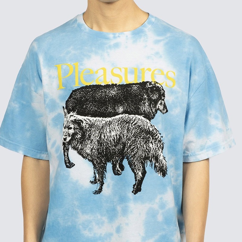 PLEASURES/ץ쥸㡼WET DOGS T-SHIRT T / BLUE DYE