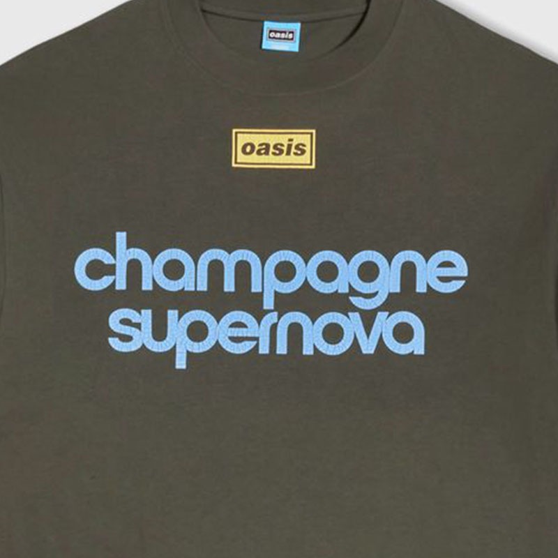 ��PLEASURES/�ץ쥸�㡼����OASIS��NORDIQUE T-SHIRT T����� / FADED BLACK