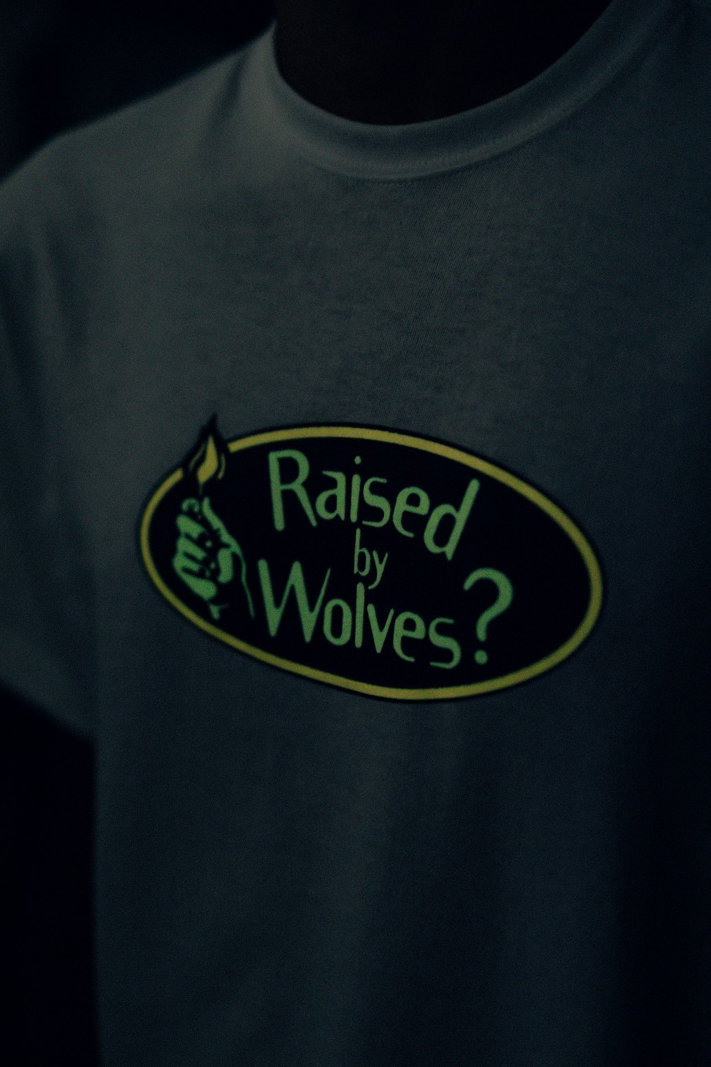 ��RAISED BY WOLVES/�쥤���ɥХ�����֥���MATCH TEE T����� / BLACK