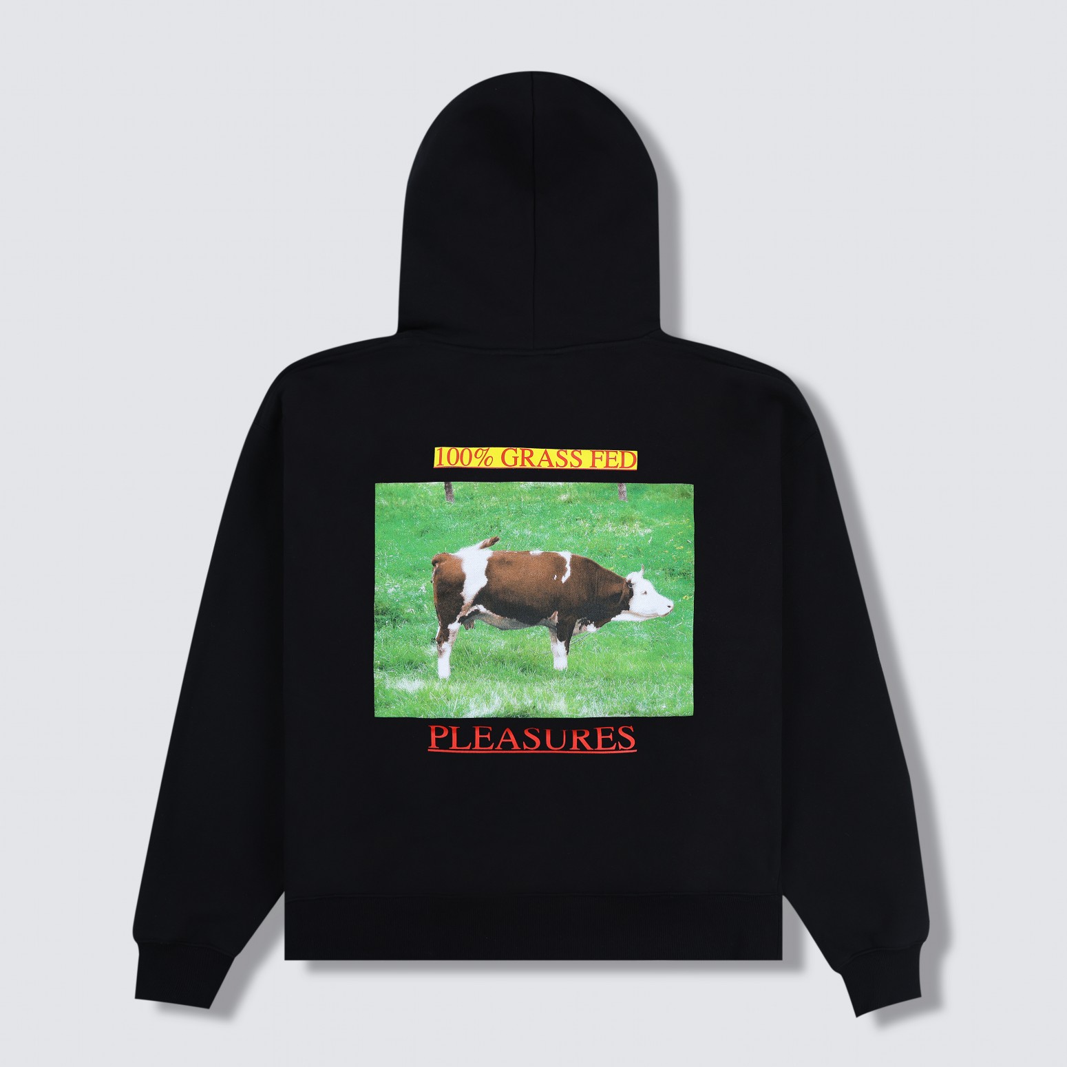 ��PLEASURES/�ץ쥸�㡼����GRASS FED HOODIE �ѡ����� / BLACK