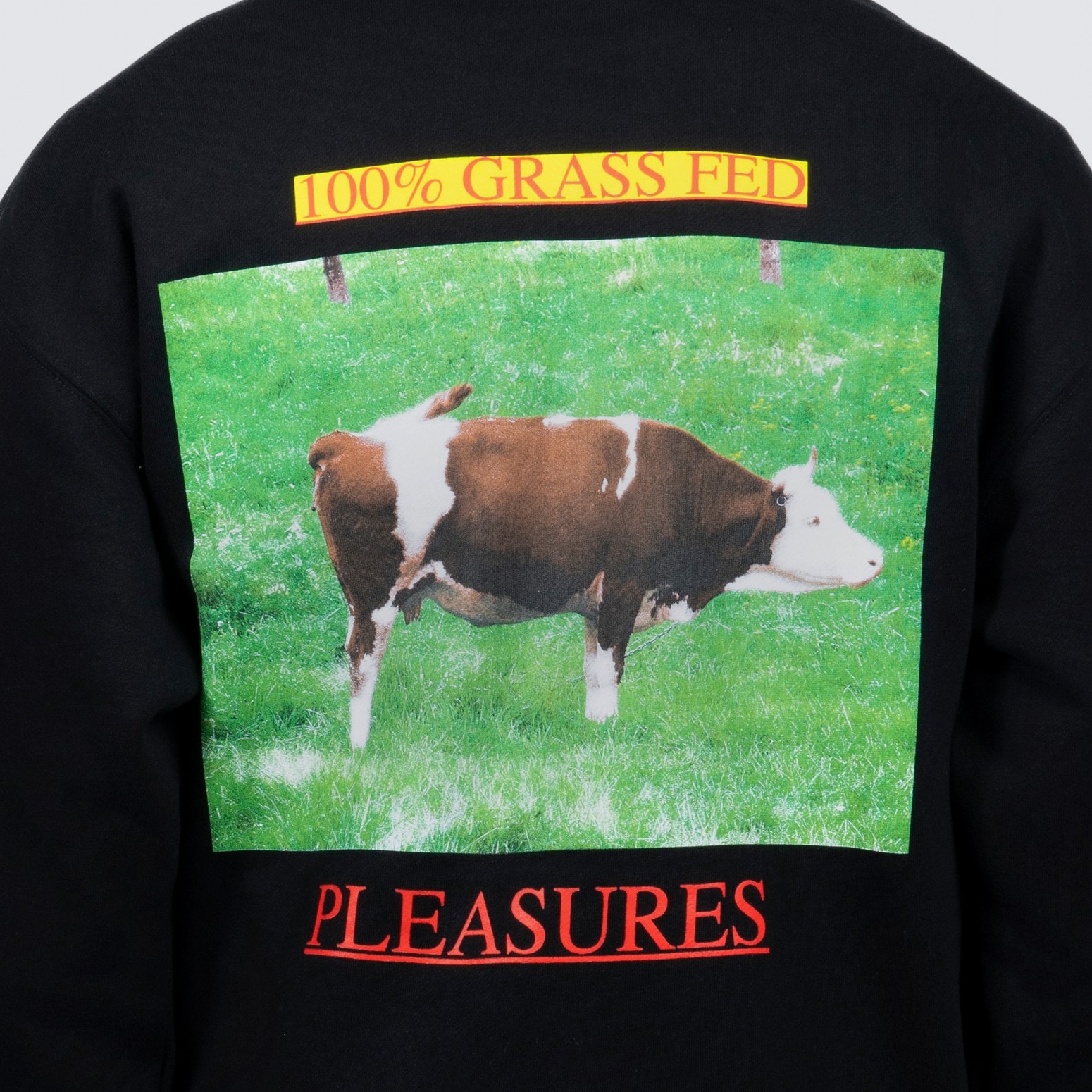 ��PLEASURES/�ץ쥸�㡼����GRASS FED HOODIE �ѡ����� / BLACK