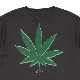 ACAPULCO GOLD/ץ륳 ɡAG THANG LS TEE ĹµT / CHARCOAL 㥳