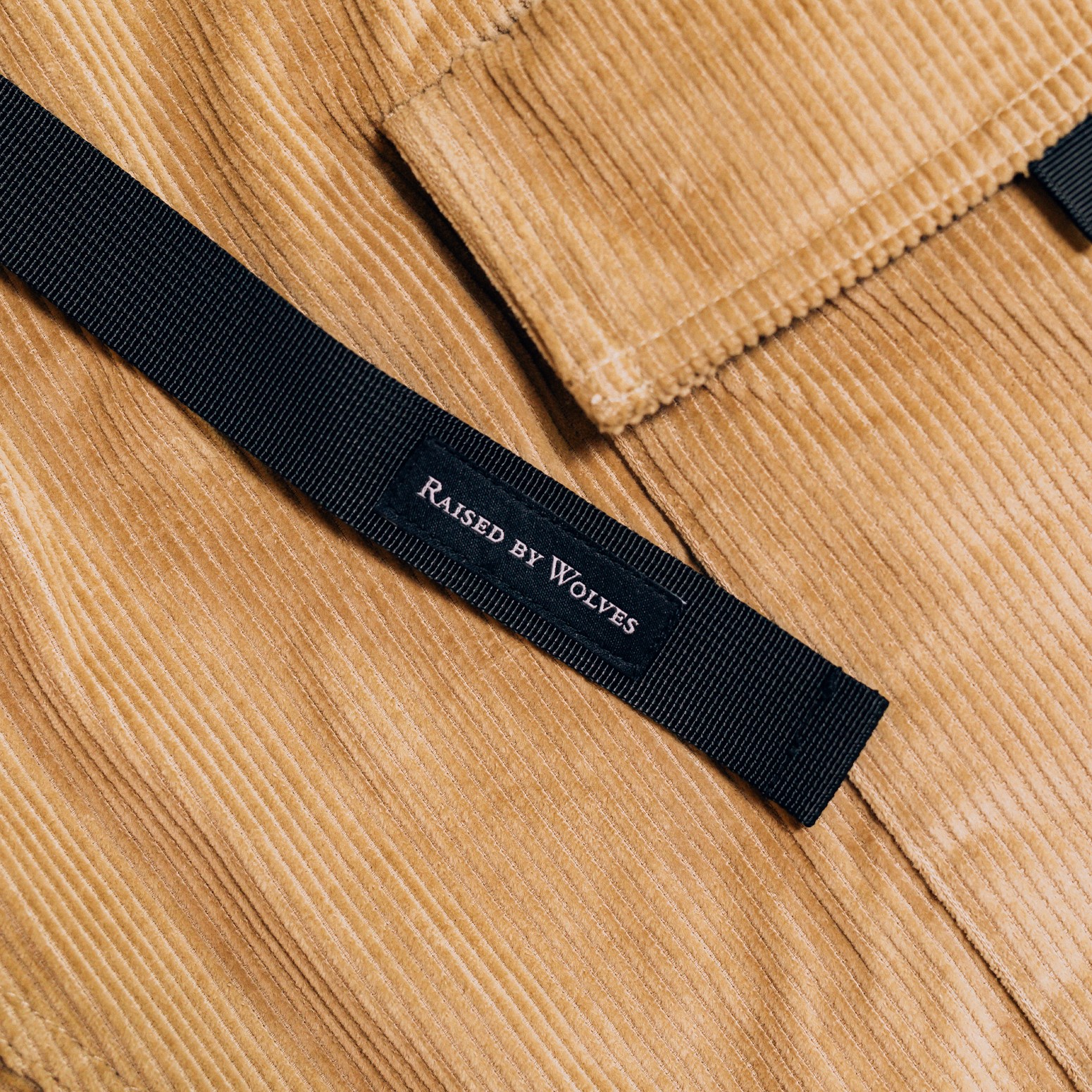 RAISED BY WOLVES/쥤ɥХ֥CORDUROY HIKING PANTS ϥ󥰥ѥ / MUSHROOM