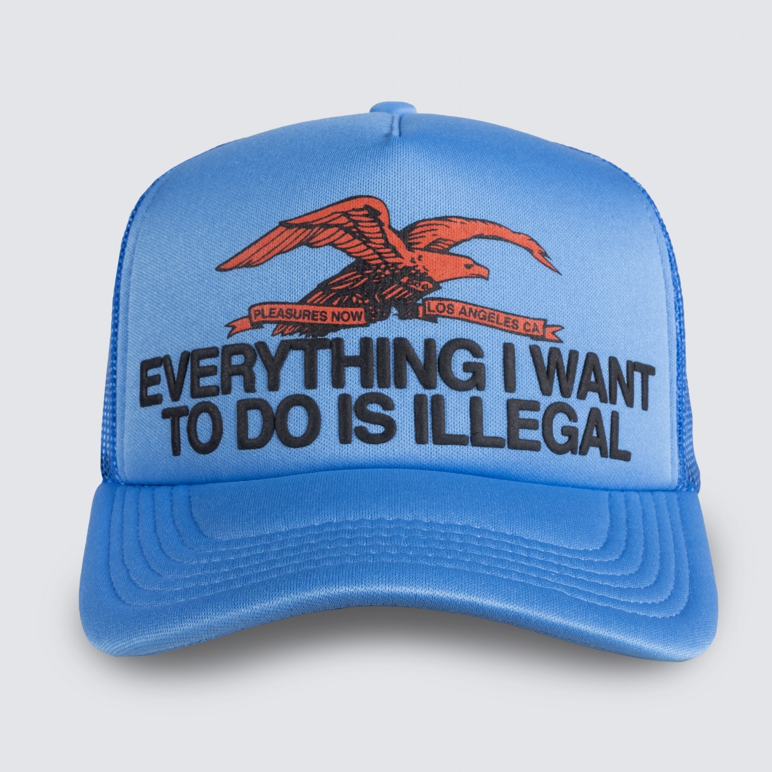 ��PLEASURES/�ץ쥸�㡼����ILLEGAL TRUCKER �ȥ�å�������å� / BLUE