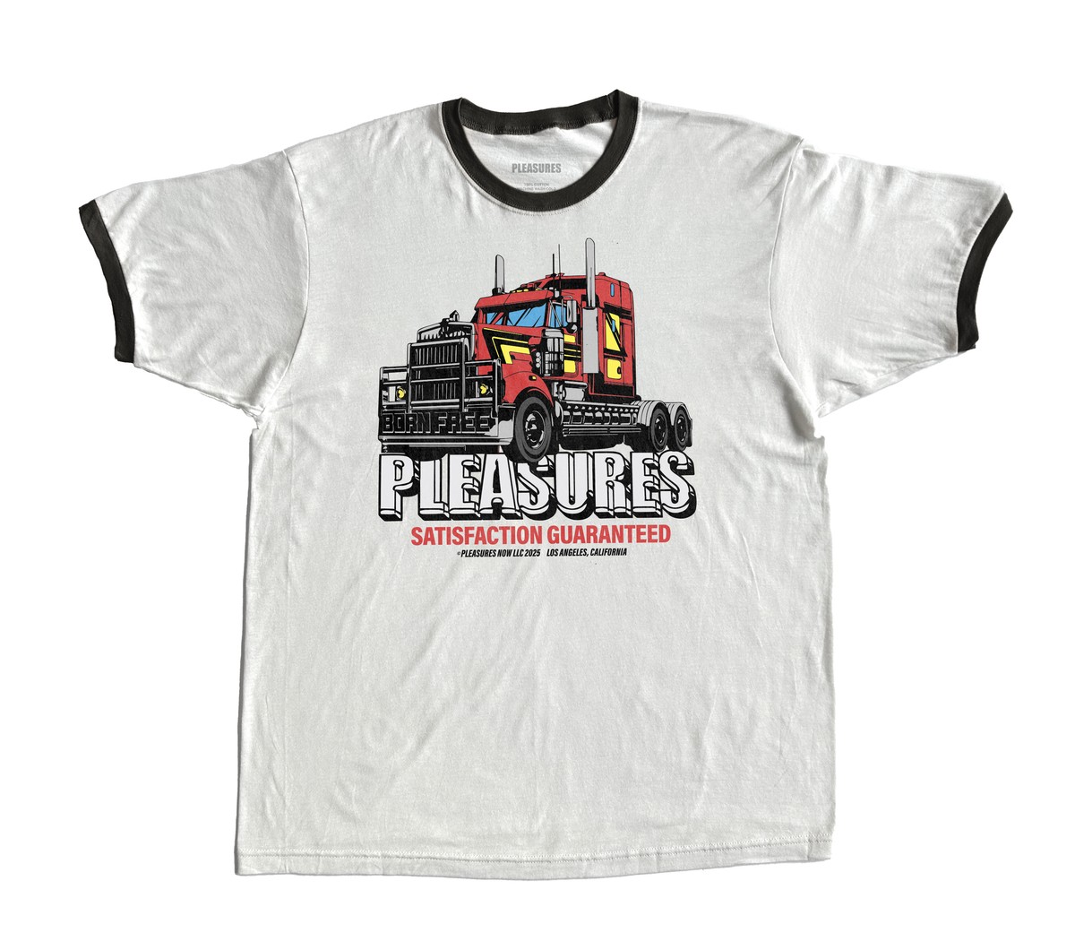 PLEASURES/ץ쥸㡼BIG LOAD RINGER T-SHIRT T / WHITE